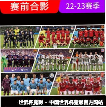 关于世界杯竞彩平台